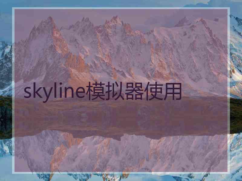 skyline模拟器使用