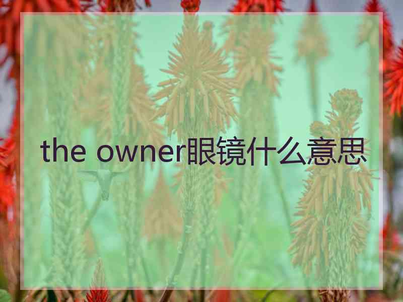 the owner眼镜什么意思