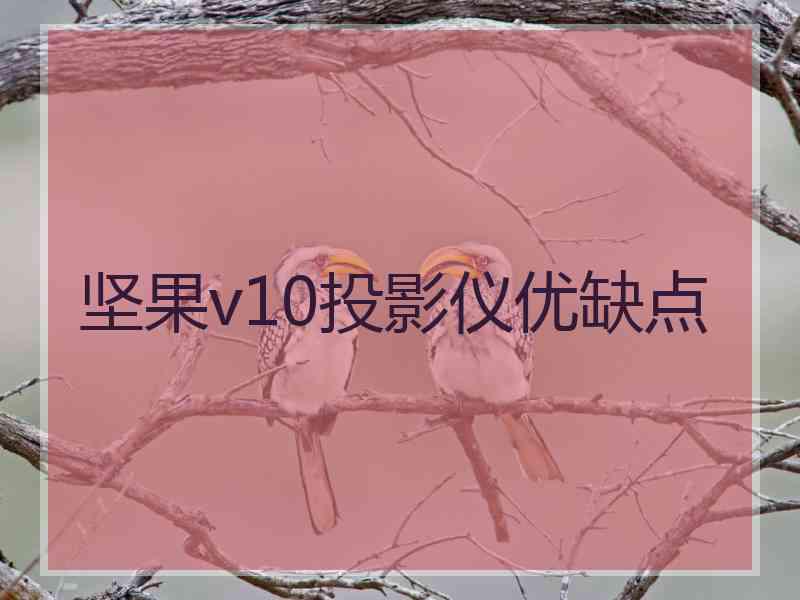 坚果v10投影仪优缺点