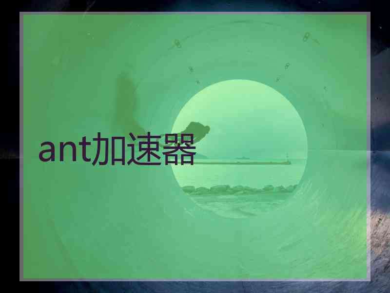 ant加速器