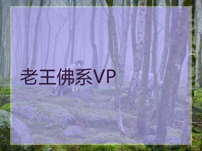 老王佛系VP