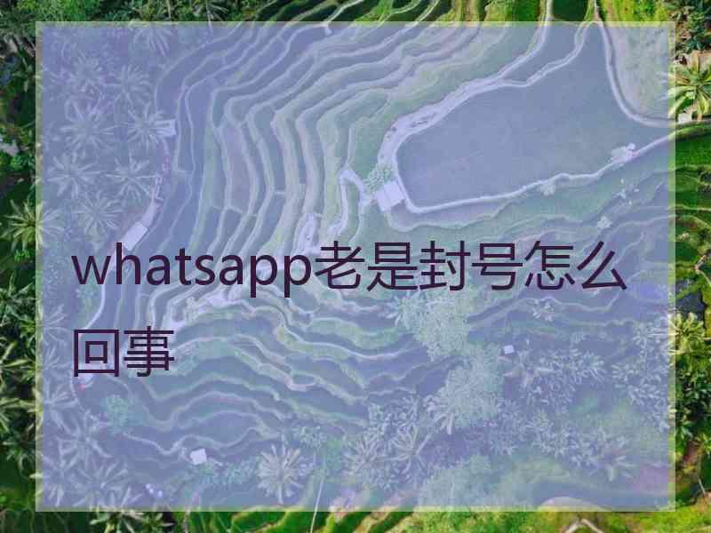 whatsapp老是封号怎么回事