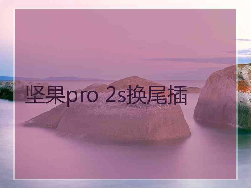 坚果pro 2s换尾插