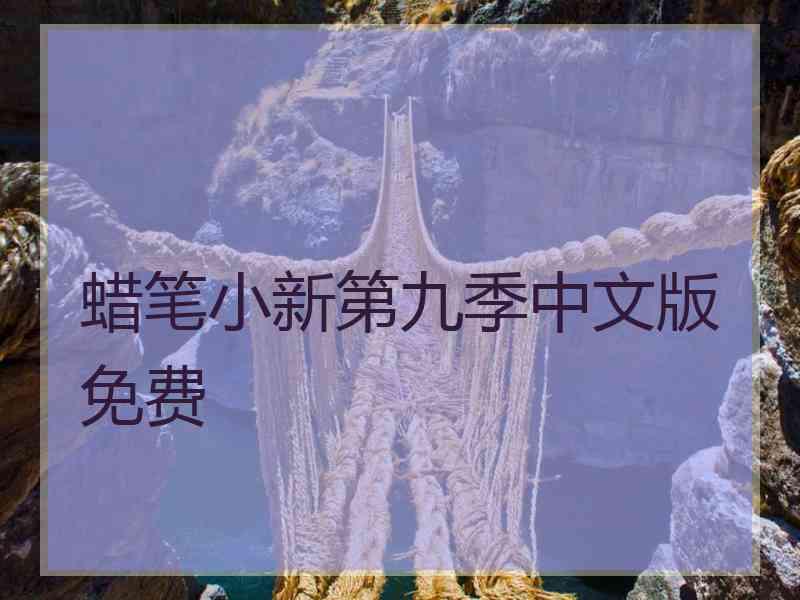 蜡笔小新第九季中文版免费