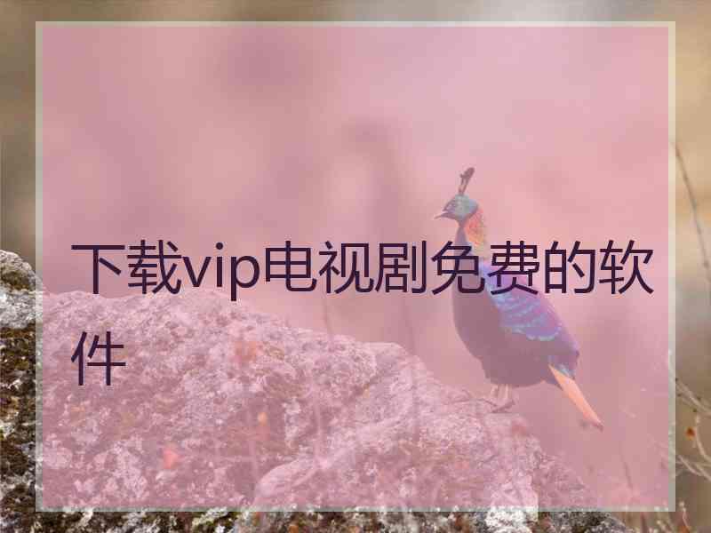 下载vip电视剧免费的软件