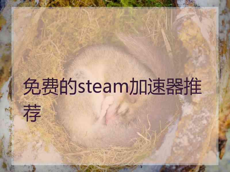 免费的steam加速器推荐