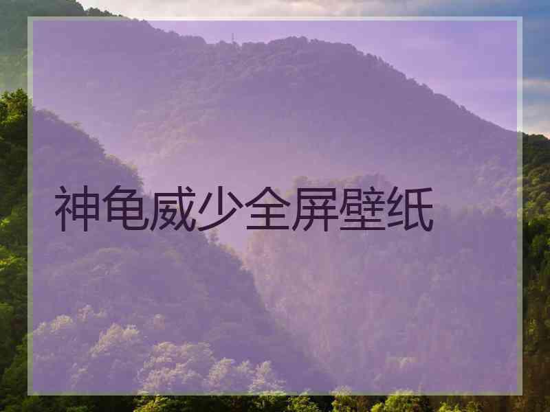 神龟威少全屏壁纸