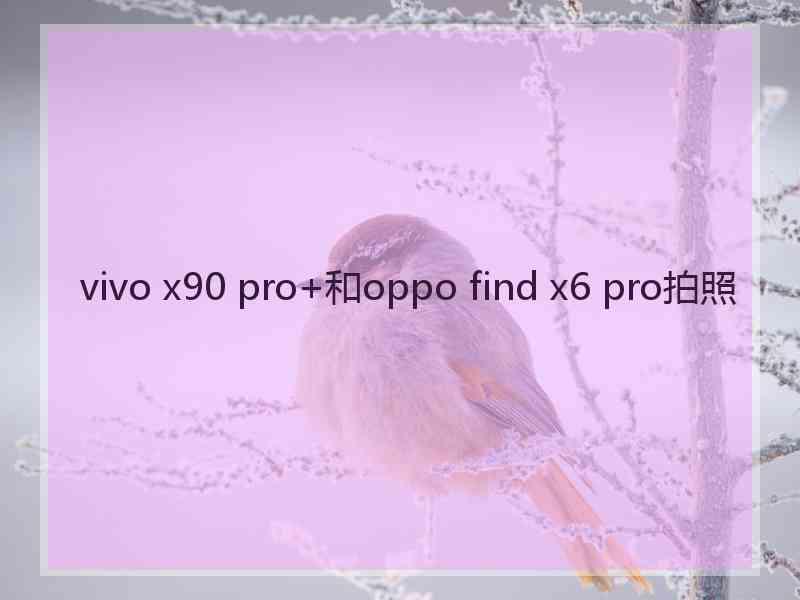 vivo x90 pro+和oppo find x6 pro拍照