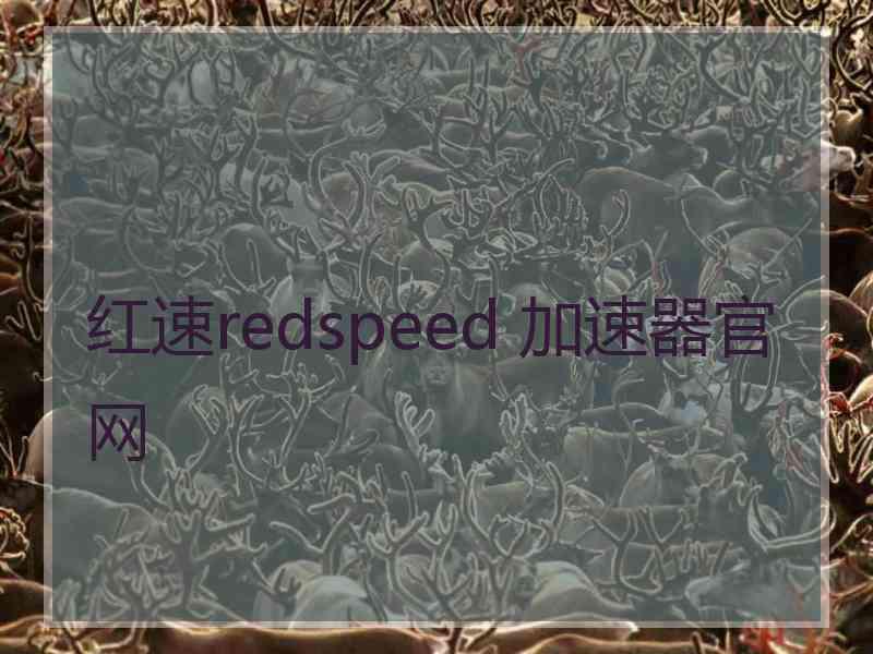 红速redspeed 加速器官网