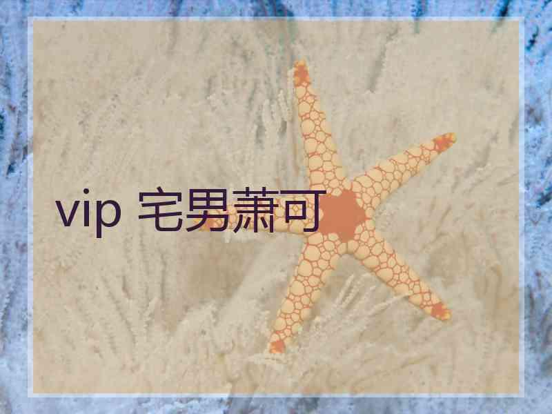 vip 宅男萧可