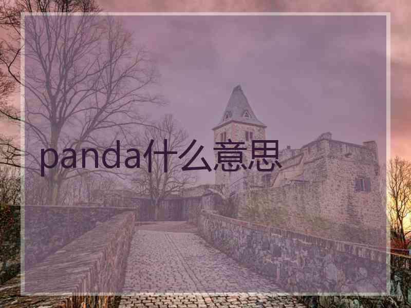 panda什么意思