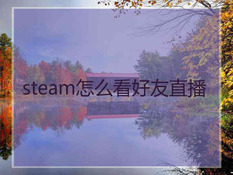 steam怎么看好友直播