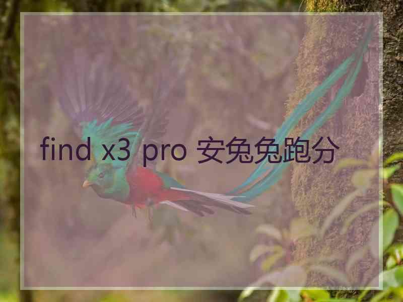 find x3 pro 安兔兔跑分