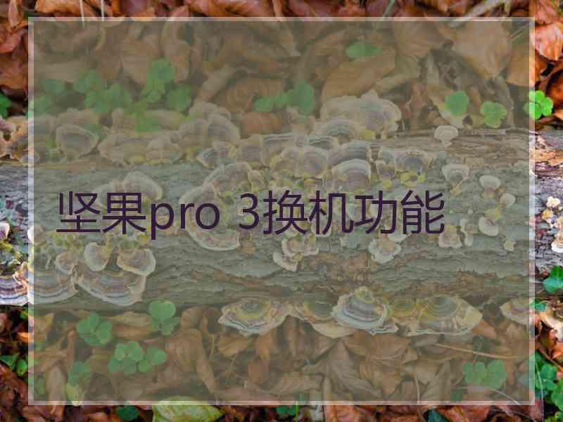 坚果pro 3换机功能