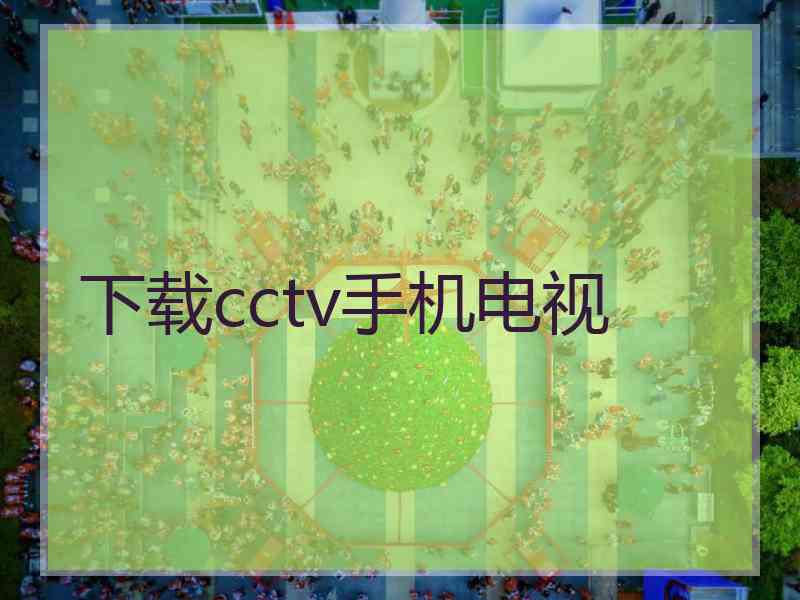 下载cctv手机电视