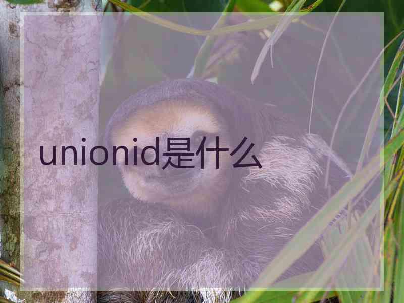 unionid是什么