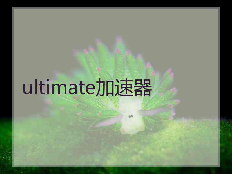 ultimate加速器