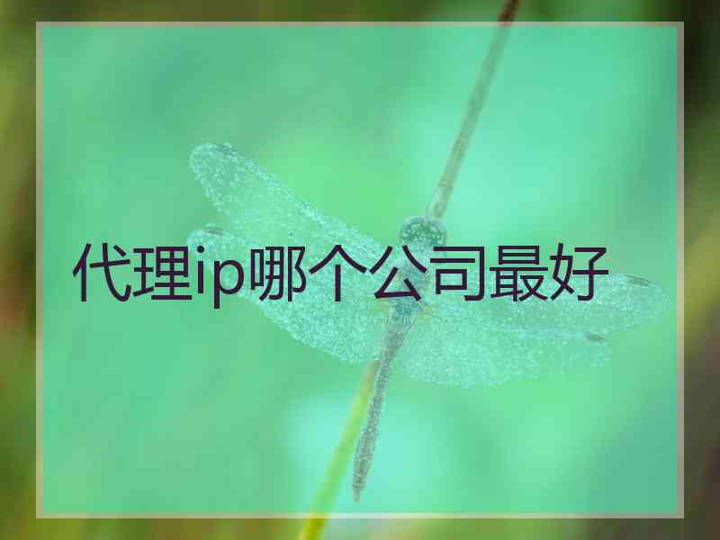 代理ip哪个公司最好