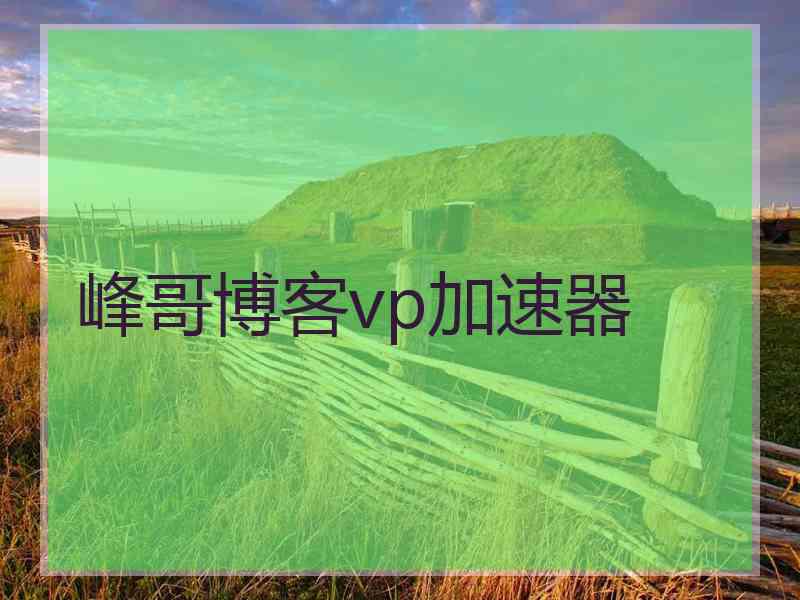 峰哥博客vp加速器