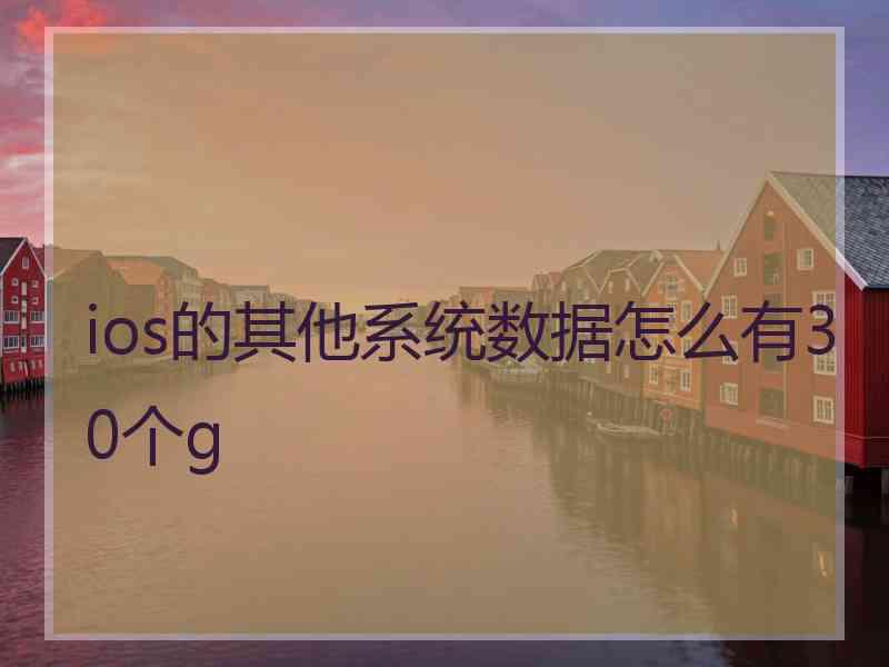 ios的其他系统数据怎么有30个g