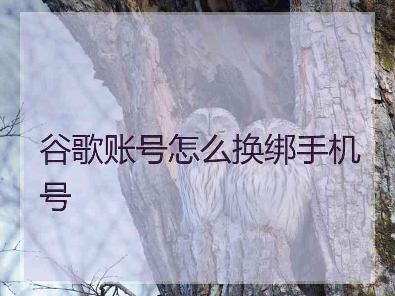 谷歌账号怎么换绑手机号