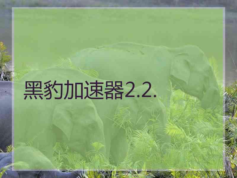 黑豹加速器2.2.