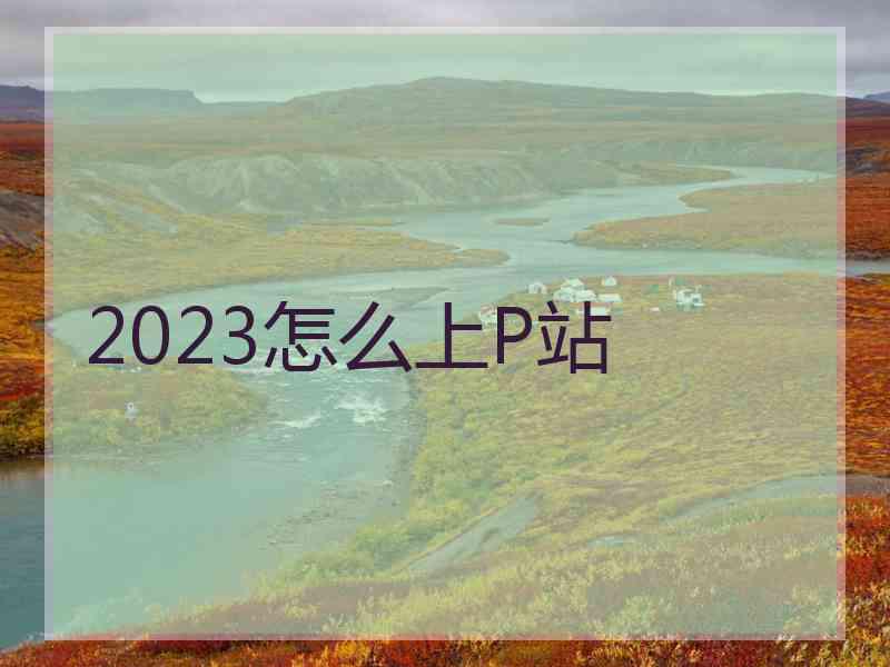 2023怎么上P站