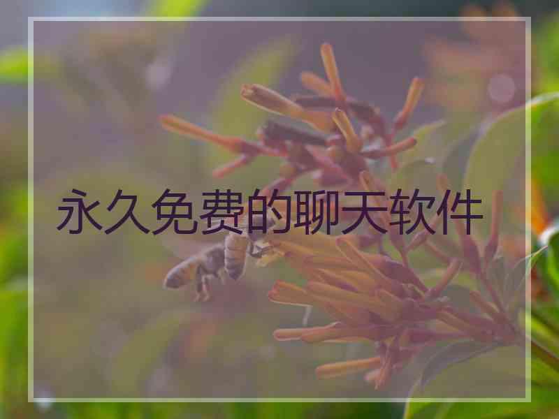 永久免费的聊天软件