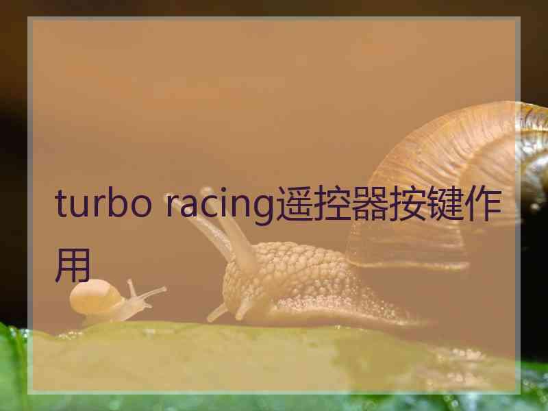 turbo racing遥控器按键作用