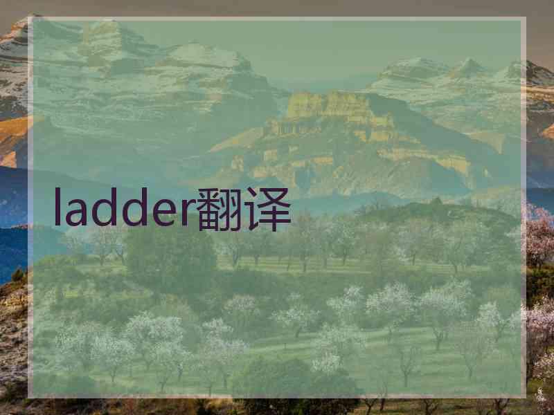 ladder翻译