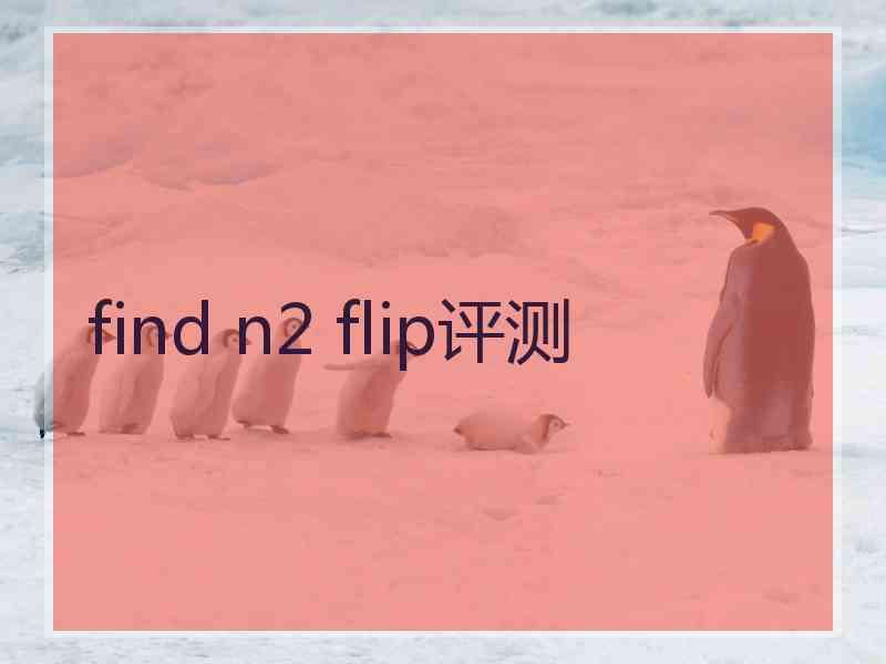 find n2 flip评测