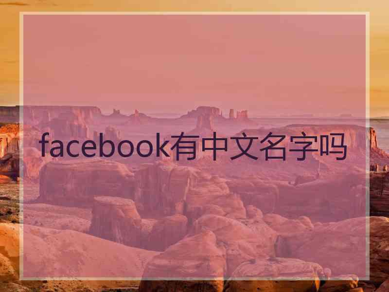 facebook有中文名字吗