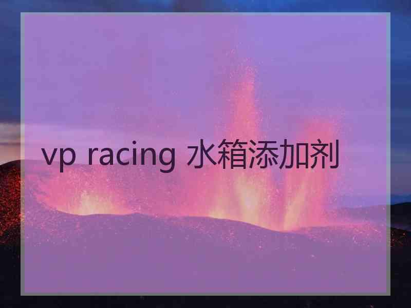 vp racing 水箱添加剂