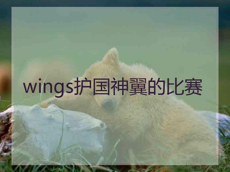 wings护国神翼的比赛