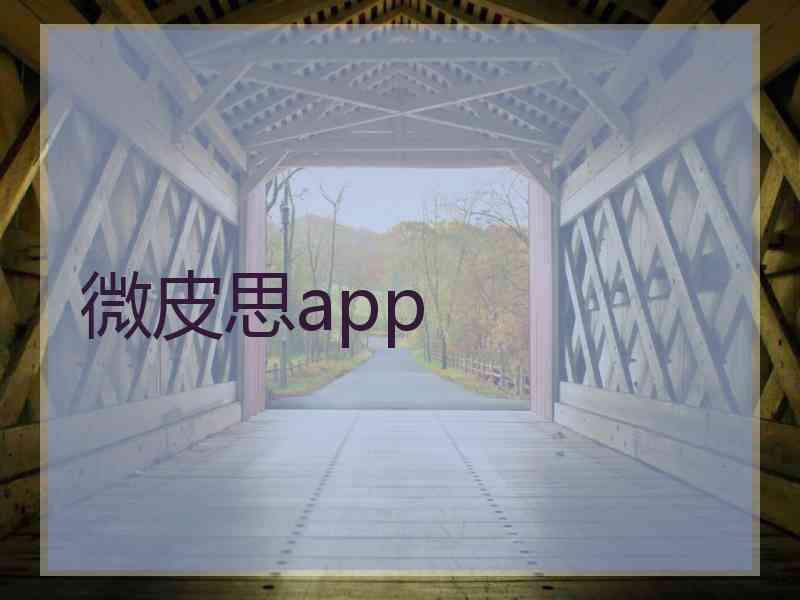 微皮思app