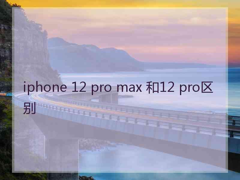 iphone 12 pro max 和12 pro区别