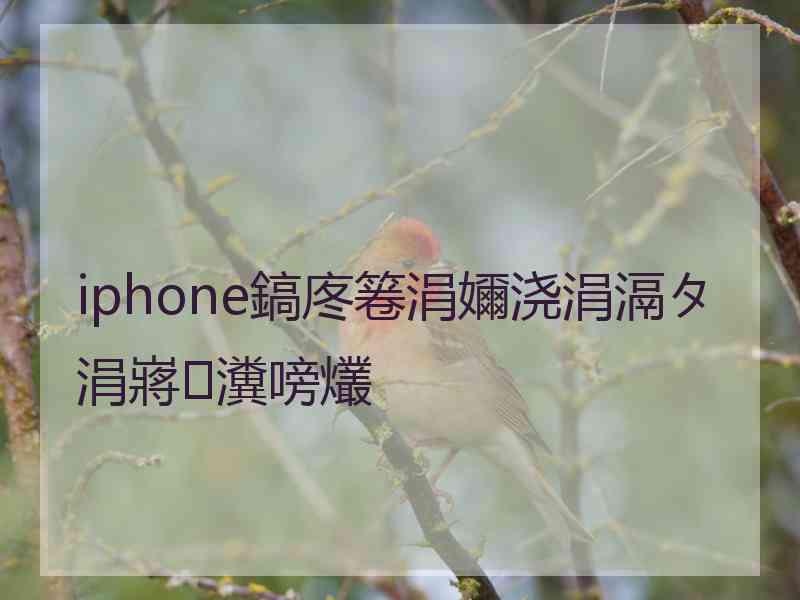 iphone鎬庝箞涓嬭浇涓滆タ涓嶈瀵嗙爜