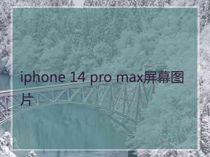 iphone 14 pro max屏幕图片