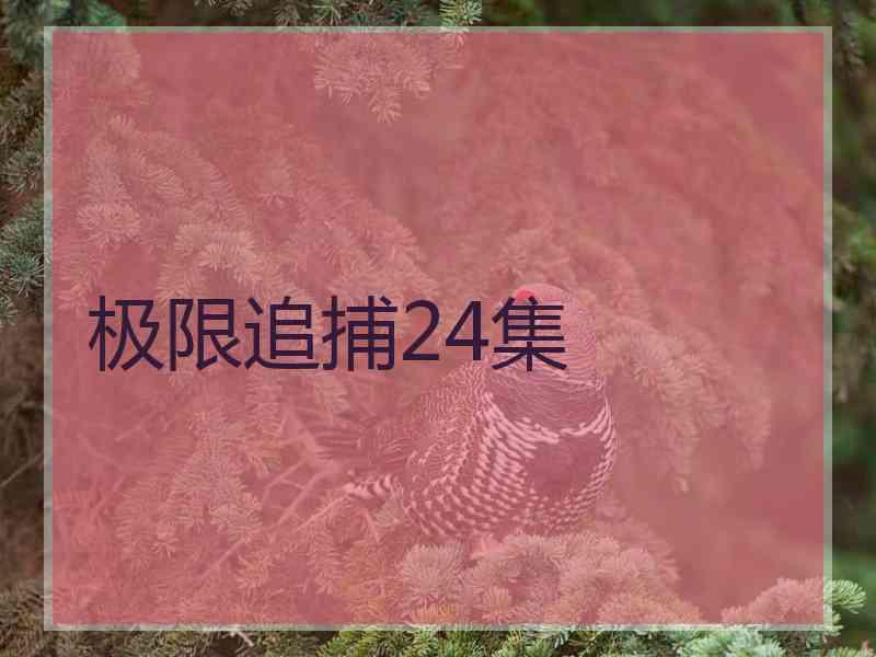 极限追捕24集