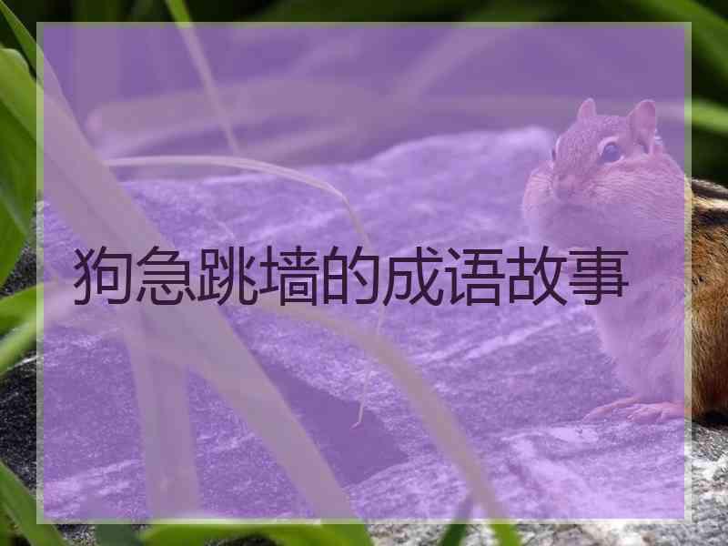 狗急跳墙的成语故事