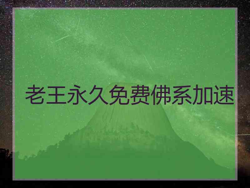 老王永久免费佛系加速