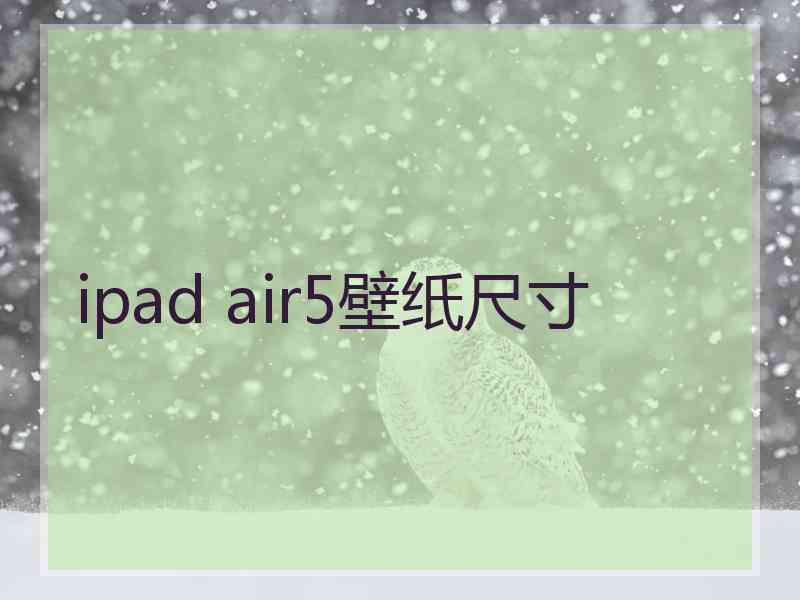 ipad air5壁纸尺寸