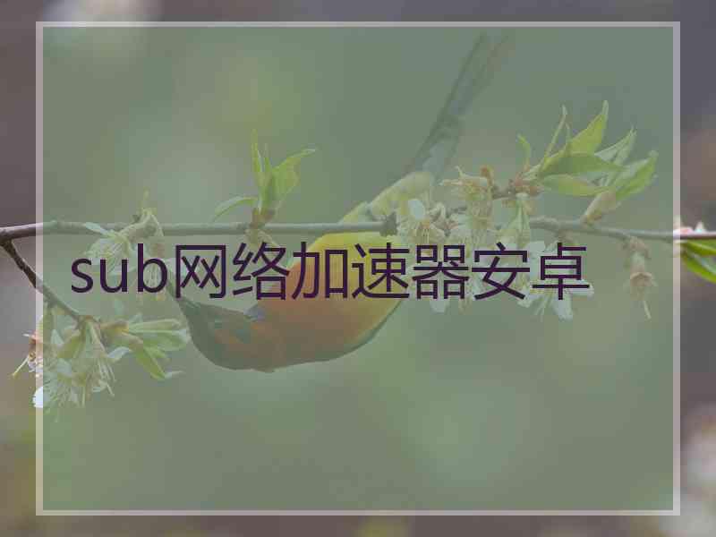 sub网络加速器安卓