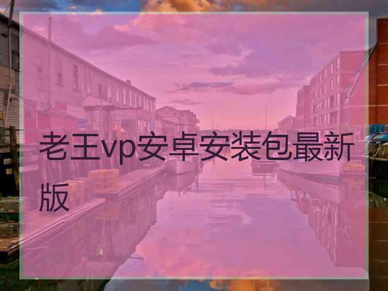 老王vp安卓安装包最新版