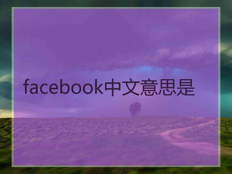 facebook中文意思是