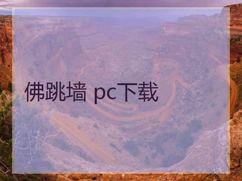 佛跳墙 pc下载