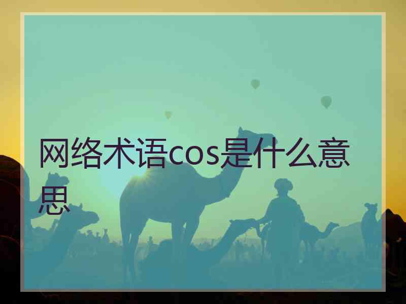 网络术语cos是什么意思