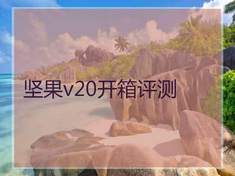 坚果v20开箱评测