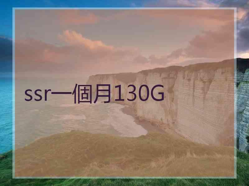 ssr一個月130G