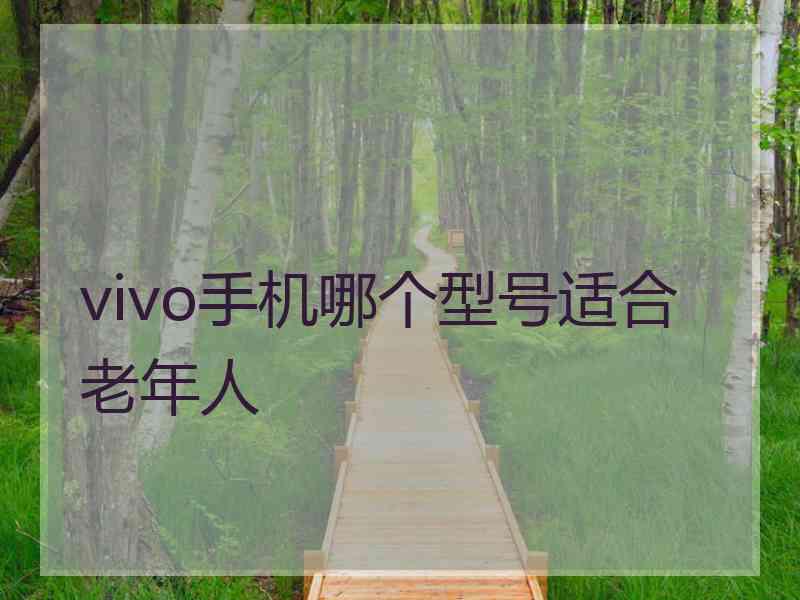 vivo手机哪个型号适合老年人